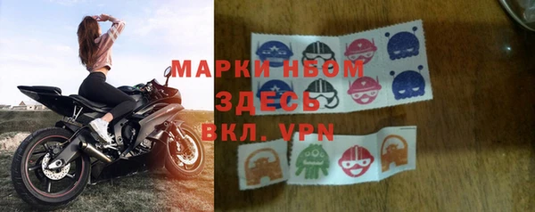 apvp Алзамай