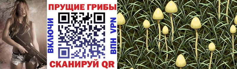 Псилоцибиновые грибы MAGIC MUSHROOMS  где купить наркоту  Соликамск 